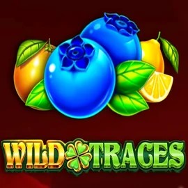 Wild Traces online game logo by Amusnet Interactive on uspincasinoo.com